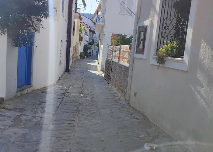 Island House בית נופש